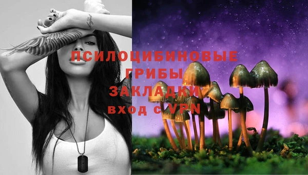 эйфоретик Заволжск